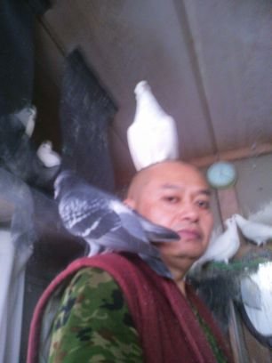 233cf84bec9c42d's profile picture. 動物と植物と昆虫等が好きです!