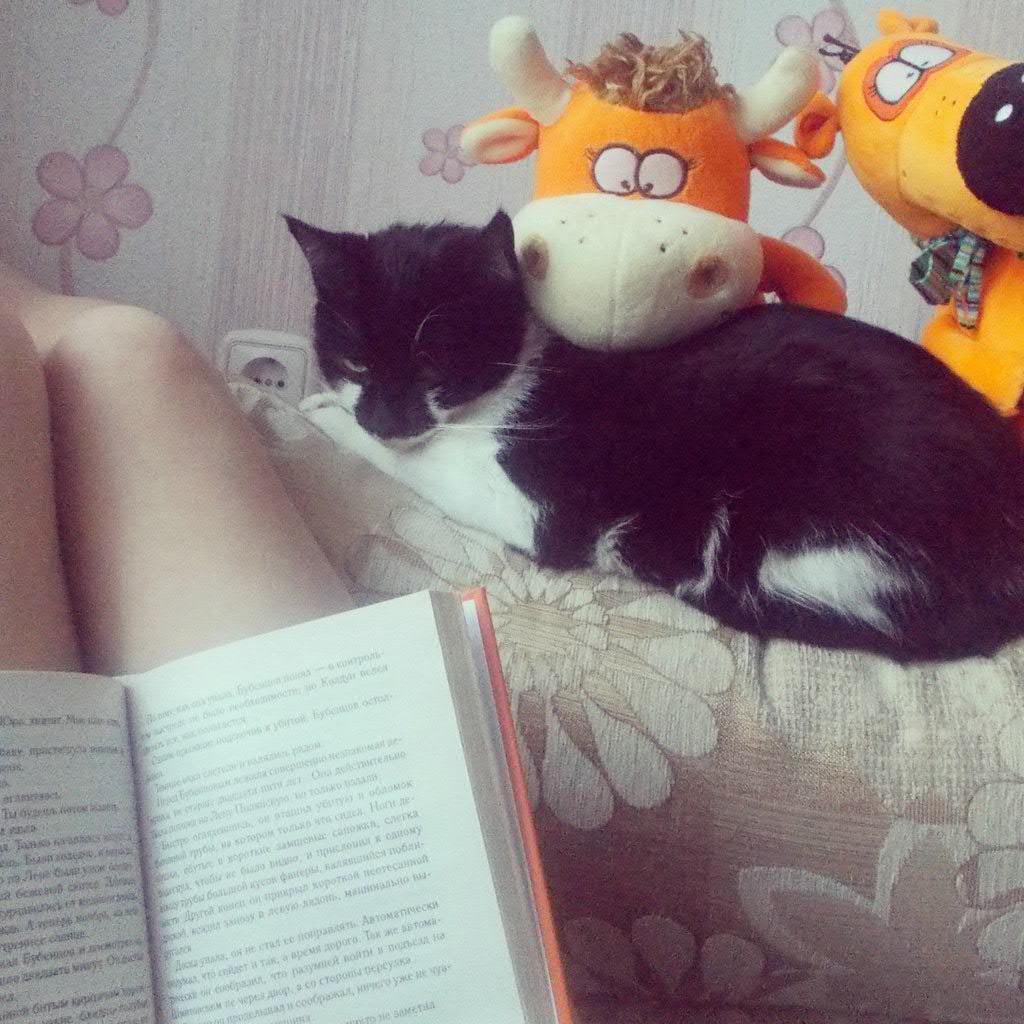 justKsenia's profile picture. 