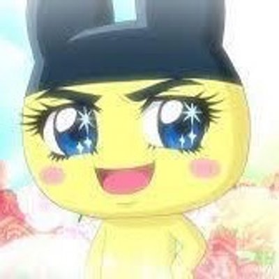 みかんと申します
