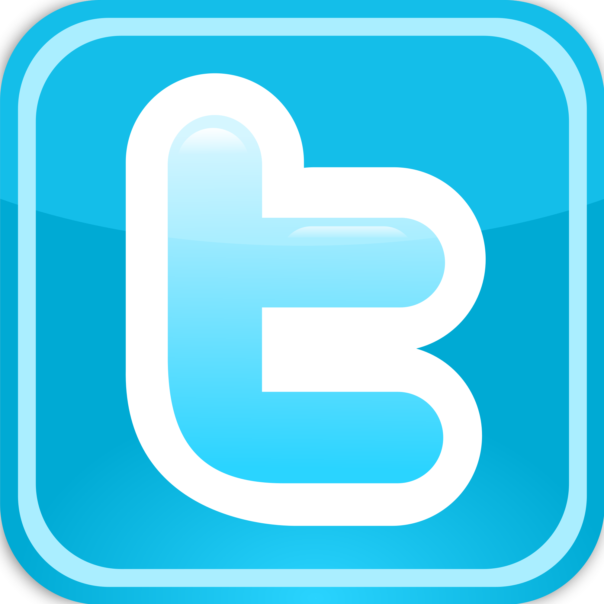 Image result for twitter logo