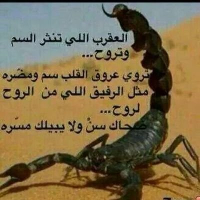 العقرب القاتل