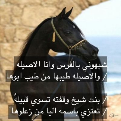 وجد الصغير اللي دخل دارالايتام 
من بعد موت امه وابوه السجيني

عليك ي الي صدتك مثل الاعدام 
من بعدها ماعاد تحسب سنيني