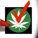 Vereniging voor Cannabis Consumenten(VvCC)