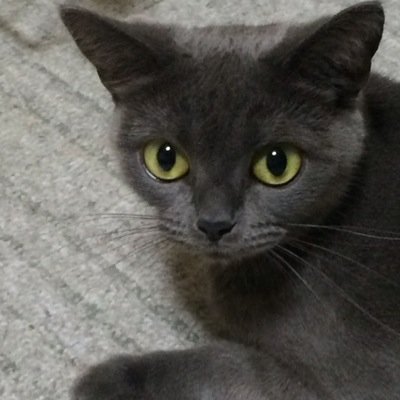ウツキ