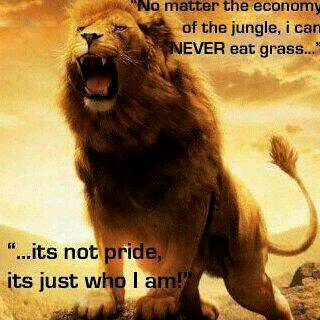 Schwitz9's profile picture. Nigerian dark tall smart and lovely. Choose your destiny wisely.