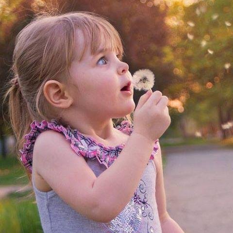 madushapa's profile picture. 