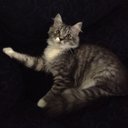 Sandra Macaulay - @sandram_91976 - Twitter