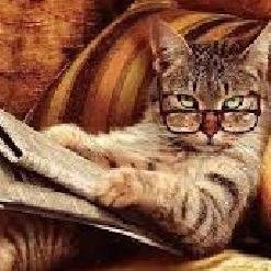 Hey there, I tweet funny news everyday. If you wanna read more please visit my website. Thanks!