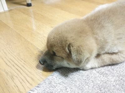 白い大上さんのプロフィール画像