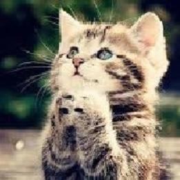 Hey there, I tweet funny news everyday. If you wanna read more please visit my website. Thanks!