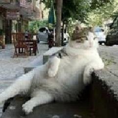 Hey there, I tweet funny news everyday. If you wanna read more please visit my website. Thanks!