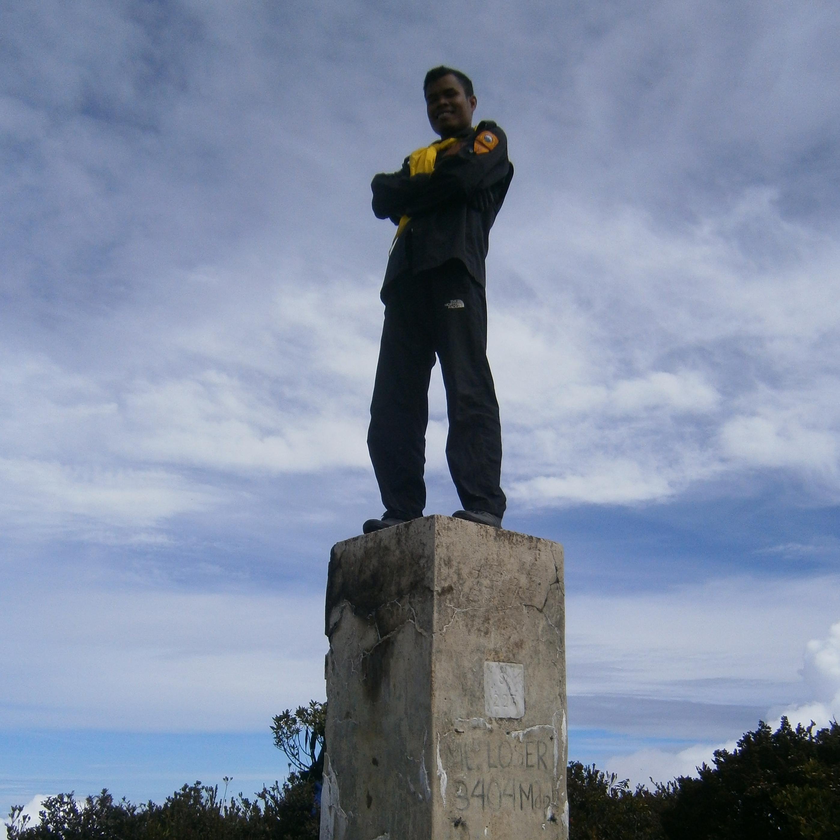 cacing perkison