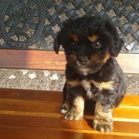 carmen barreiro (@84d2ff623b4f4a8) 's Twitter Profile