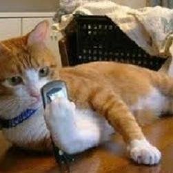 Hey there, I tweet funny news everyday. If you wanna read more please visit my website. Thanks!