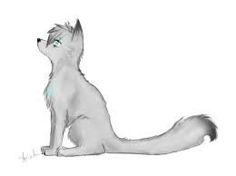 My name is destiny I'm a young female pup ! Parents: @AHmad2faster and @chipettes05
#Single #Pup #RP #Wolf #WolfRP