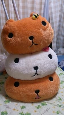 島田 友樹 ts Twitter 島田 友樹 ts Twitter