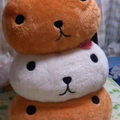 島田 友樹 ts Twitter 島田 友樹 ts Twitter