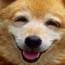Hey there, I tweet funny news everyday. If you wanna read more please visit my website. Thanks!