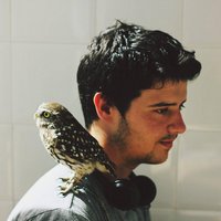 Rubén de la Fuente (@rubnmisut) 's Twitter Profile