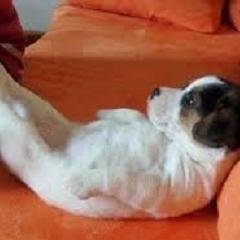 Hey there, I tweet funny news everyday. If you wanna read more please visit my website. Thanks!