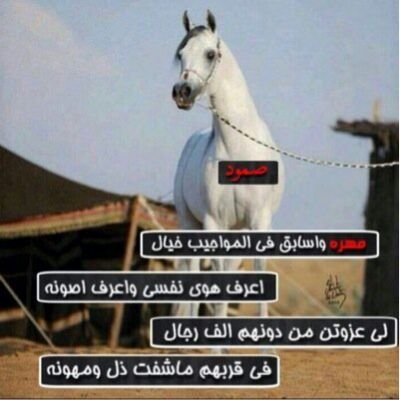 ‏‏يالله تعتقني ليا مني اخطيت
وتجعل ثرى الجنہ جزى والديني ♡~ ‏×الخااااص ممنوع×