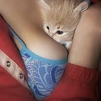 ↔ http://t.co/ePzOtAT57Y ↔ 무료 가입만 해도 하루 두번 게임머니 공짜 지급!! 재밌는 화투도 치고 억대 잿팍 행운을 노려보세요..무료 가입하실려면 게임참여하기 버튼을 클릭하세요^^
