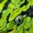 Jack Bird - @BirdBirdie2580 - Twitter