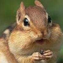 feellikefeeling's profile picture. 相互フォロー大歓迎☆