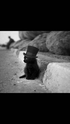 Monts85's profile picture. 