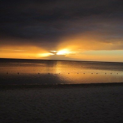 Denys_Daniel_78's profile picture. 