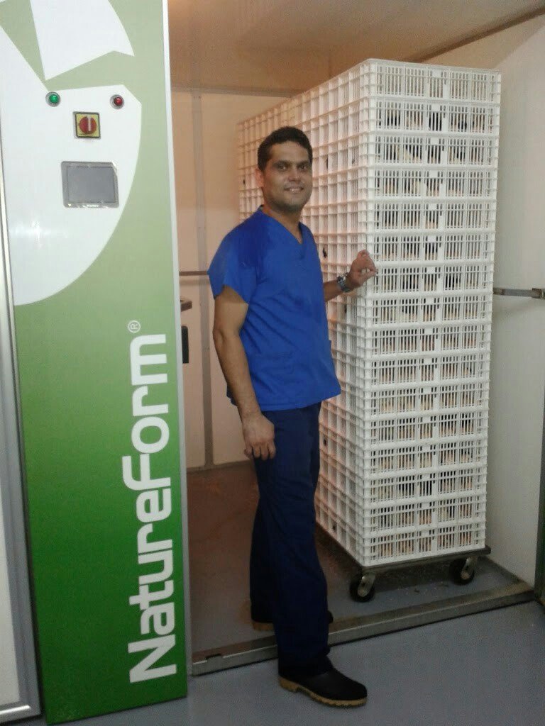 DistinguidoVIII's profile picture. 