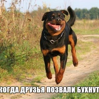 sistajlo's profile picture. 