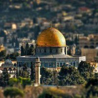 Nada Shtay (@nadashtay) Twitter profile photo