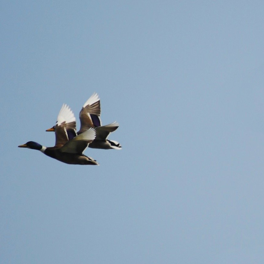 YahsReviews's profile picture. 