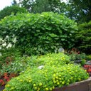 Marta rosario trejo - @2007Rmarta - Twitter