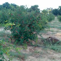 deeparam choudhary (@deeparam402) 's Twitter Profile