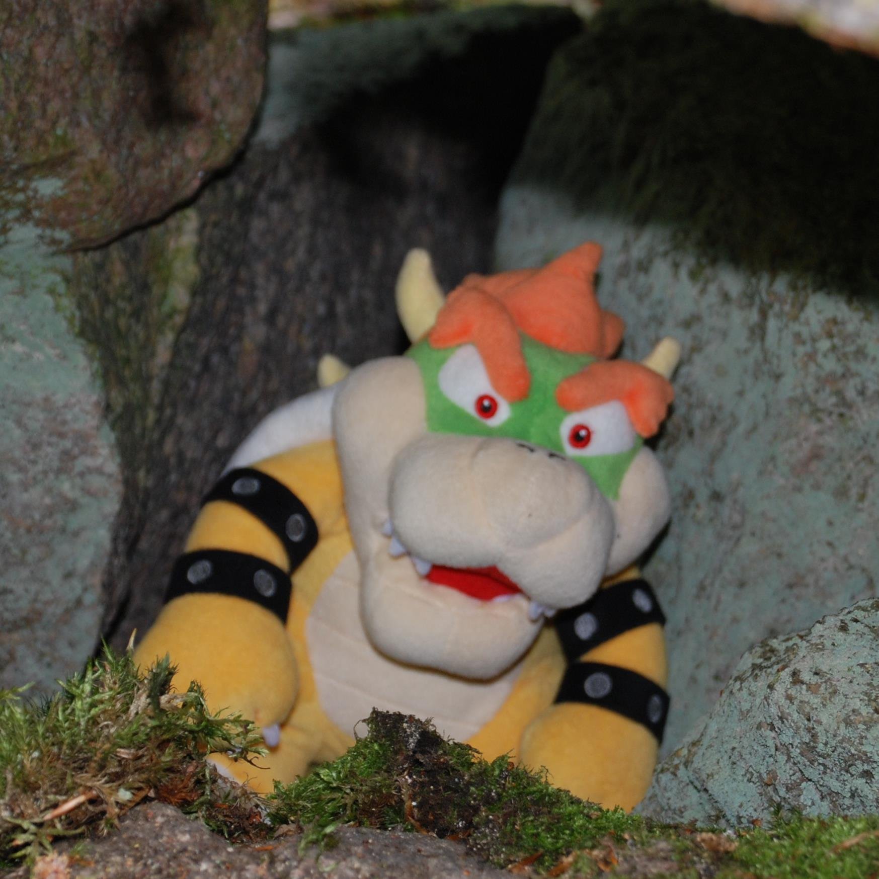 Bowserhimself's profile picture. WELCOME TO THE BOWSER SPACE! WE'VE PLENTY OF FUN EVENTS! - Misunderstood political leader, currently incarnated in a plush toy, trying to understand Twitter