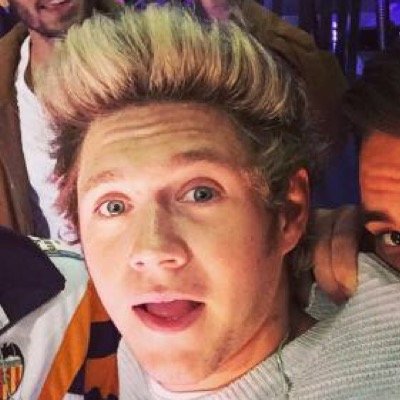 niallseeex's profile picture. hey love please follow @ilookniall thanks :)