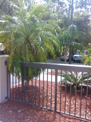 jackie_holbrook's profile picture. 