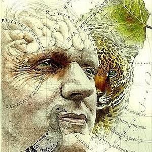 SrIntelecto's profile picture. 