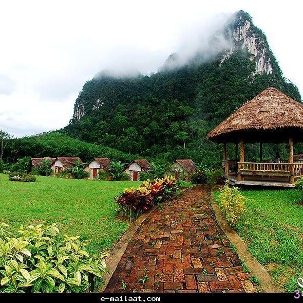 arwaghaleb81's profile picture. 