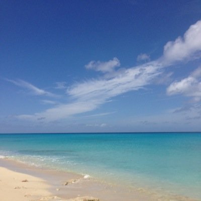 Daneia Simms Profile