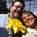 Dee Wolf - @Dee6Wolf - Twitter