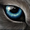 Leona (wolf) - @god_wolves13 - Twitter