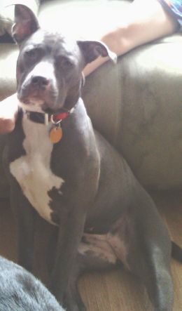 diamondtrans14's profile picture. 