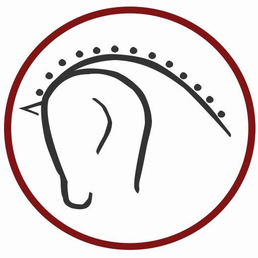 JumpstartEq's profile picture. Aiming to provide high quality digital equestrian products inc. apparel, video and photography. Email jumpstartequestrian@hotmail.com