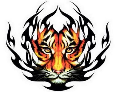 xoap22's profile picture. 