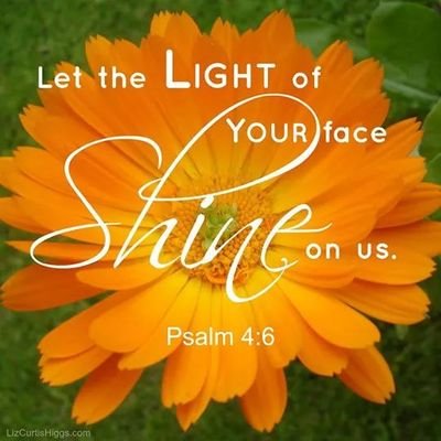 Stepher99's profile picture. Follow Me @MyAssistantAZ  Founder and CEO of My Assistant, LLC