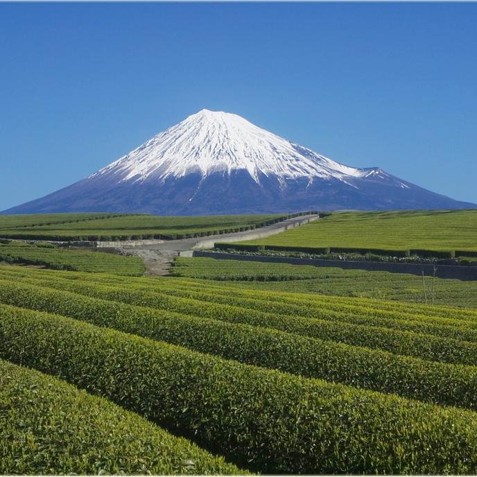 グラブルしかもうやってないです