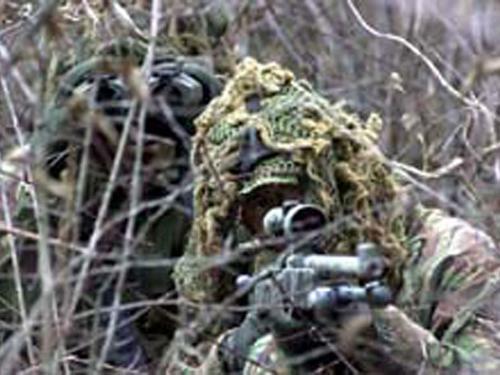 RenanVBortolini's profile picture. 